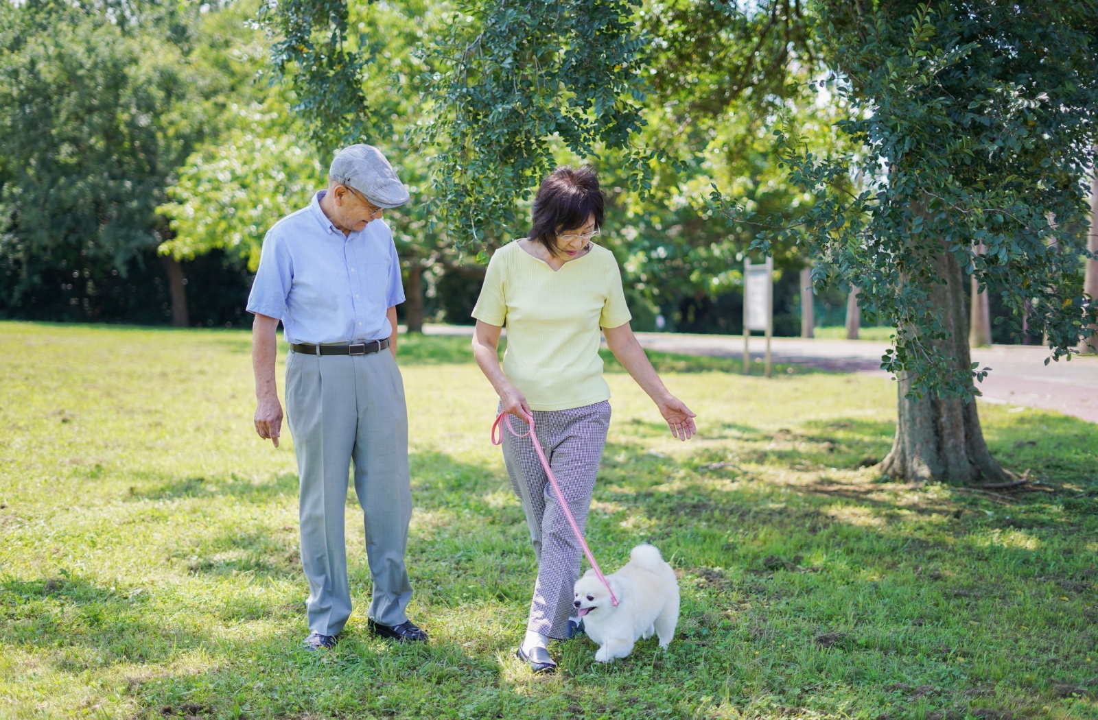 Two senior people out for a walk in the park with their small dog.